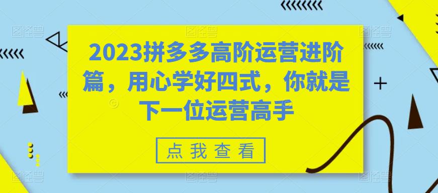 2023拼多多高阶运营进阶篇，用心学好四式，你就是下一位运营高手-逐风项目库
