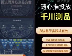 爱做号的老王·随心推+千川投流，投放实操拆解和放量思维，投流原理、千川测品-逐风项目库