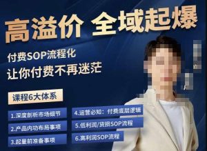 逸风-拼多多高溢价全域起爆，6大课程体系，付费玩法全套实操-逐风项目库