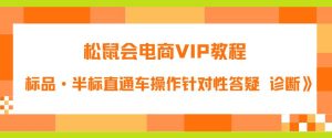 松鼠会电商VIP教程：松鼠《付费推广标品·半标直通车操作针对性答疑&诊断》-逐风项目库