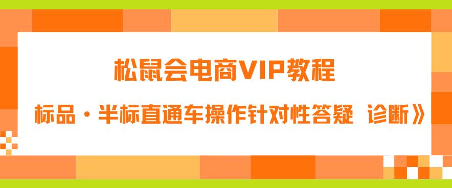 松鼠会电商VIP教程：松鼠《付费推广标品·半标直通车操作针对性答疑&诊断》-逐风项目库