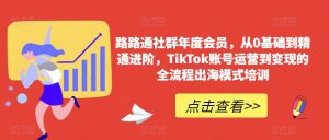 路路通社群年度会员，从0基础到精通进阶，TikTok账号运营到变现的全流程出海模式培训-逐风项目库