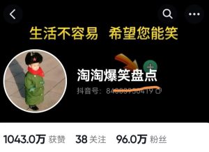 价值1000的搞笑盘点大V淘淘爆笑盘点详细课程+软件，中视频变现-逐风项目库