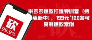 拼多多爆款打造特训营（持续更新中)，199元*100套可复制爆款案例-逐风项目库