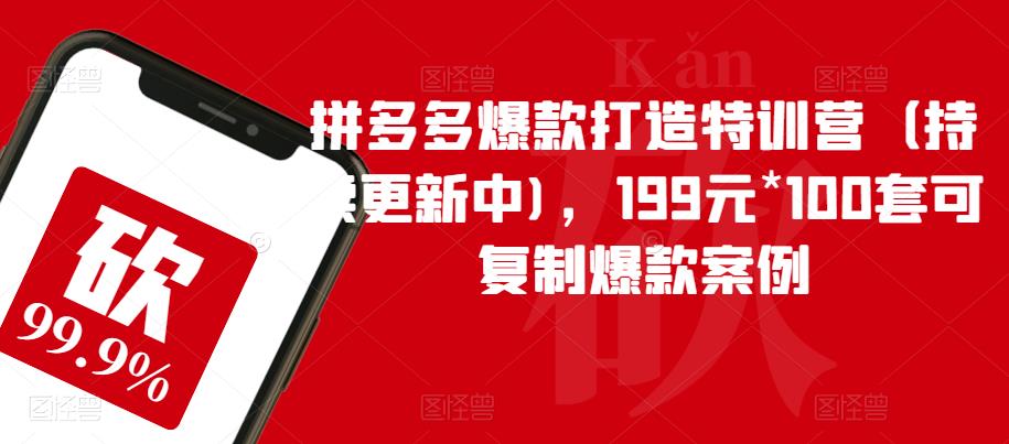 拼多多爆款打造特训营（持续更新中)，199元*100套可复制爆款案例-逐风项目库