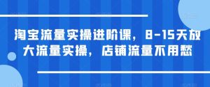 淘宝流量实操进阶课，8-15天放大流量实操，店铺流量不用愁-逐风项目库