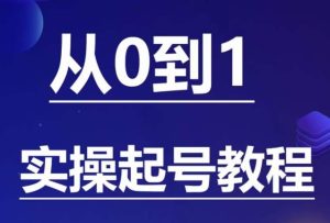 石野·小白起号实操教程，​掌握各种起号的玩法技术，了解流量的核心-逐风项目库