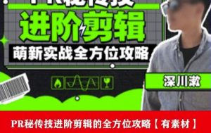 PR进阶剪辑培训班，让你快速成为剪辑大师12节视频课程+素材！-逐风项目库