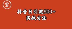 宝哥抖音直播引流私域的6个方法，日引流500+-逐风项目库