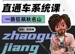 照顾酱·直通车系统课，从0到1搭建你的付费推广思维，讲基础，讲思路，讲方法，也讲实操-逐风项目库