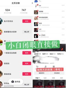 一天做完别一辈子的视频制作最近很火的《1000个野路子信息差》100%过原创【揭秘】-逐风项目库