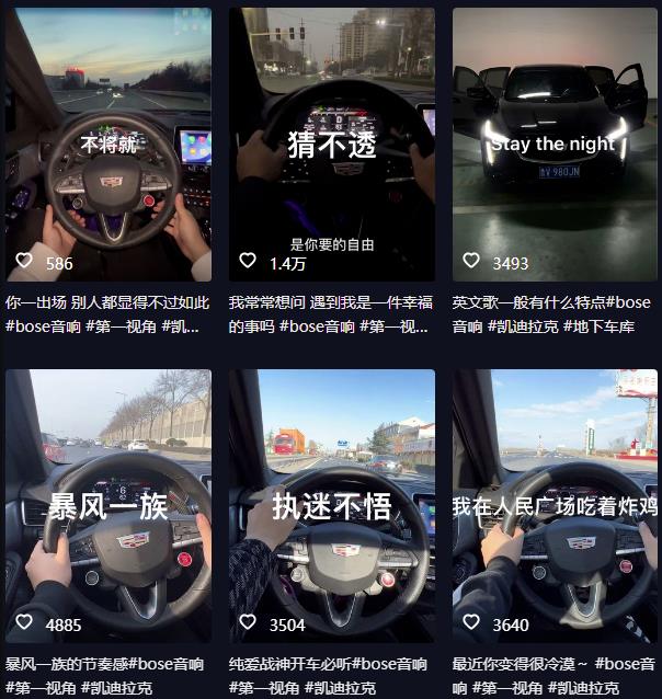 抖音开车视频项目，0基础操作，每天五分钟，月入1W+【揭秘】-逐风项目库