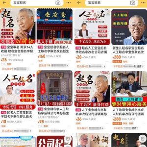 拆解小红书宝宝起名虚拟副业项目，一条龙实操玩法分享给你（教程+软件）-逐风项目库