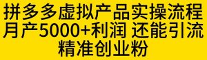 拼多多虚拟产品实操流程，月产5000+利润，还能引流精准创业粉【揭秘】-逐风项目库