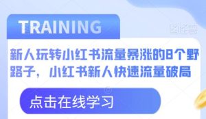 新人玩转小红书流量暴涨的8个野路子，小红书新人快速流量破局-逐风项目库