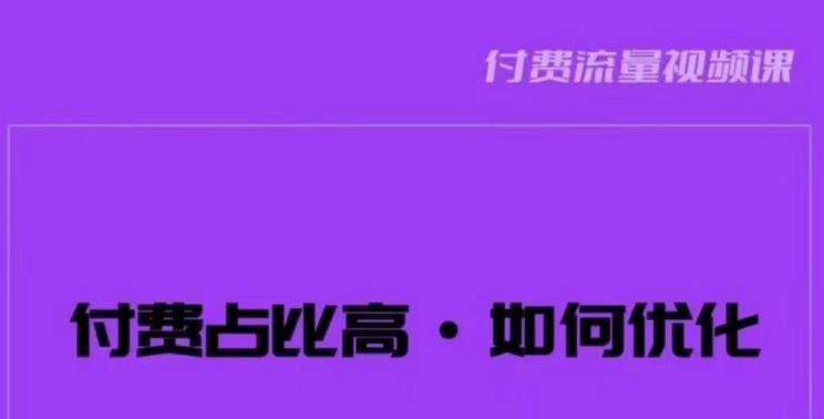 波波-付费占比高，如何优化？只讲方法，不说废话，高效解决问题！-逐风项目库