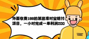 外面收费188的美团准时宝赔付项目，一小时完成一单利润200【仅揭秘】-逐风项目库