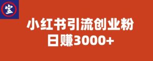 宝哥小红书引流创业粉，日赚3000+【揭秘】-逐风项目库