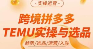 伍跃·跨境拼多多TEMU实操与选品，​趋势/选品/运营/入住（27节完整）-逐风项目库