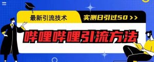 最新引流技术，哔哩哔哩引流方法，实测日引50人【揭秘】-逐风项目库