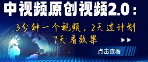 中视频原创视频2.0：3分钟一个视频，2天过计划，7天看效果【揭秘】-逐风项目库
