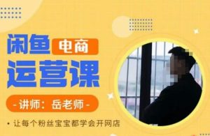 岳老师·闲鱼电商运营课，让每个粉丝宝宝都学会开网店-逐风项目库