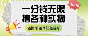 一分钱无限撸实物玩法，让你网购少花冤枉钱【揭秘】-逐风项目库