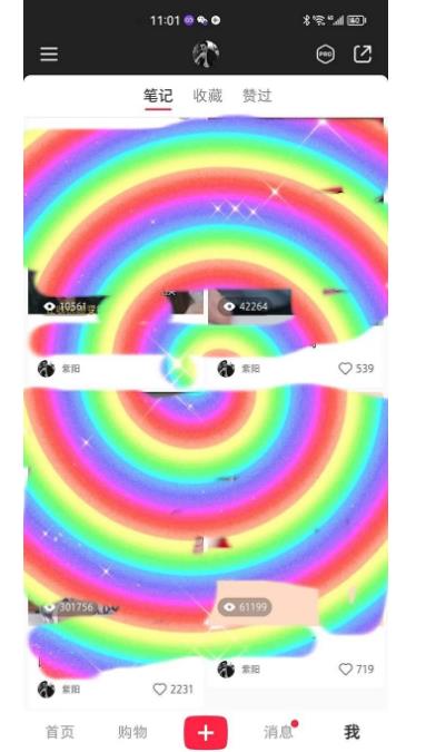 冷门高利润项目，小红书带货，无脑搬运，一部手机实现日入500+【揭秘】-逐风项目库