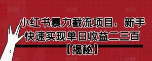 小红书暴力截流项目，新手快速实现单日收益二三百【仅揭秘】-逐风项目库