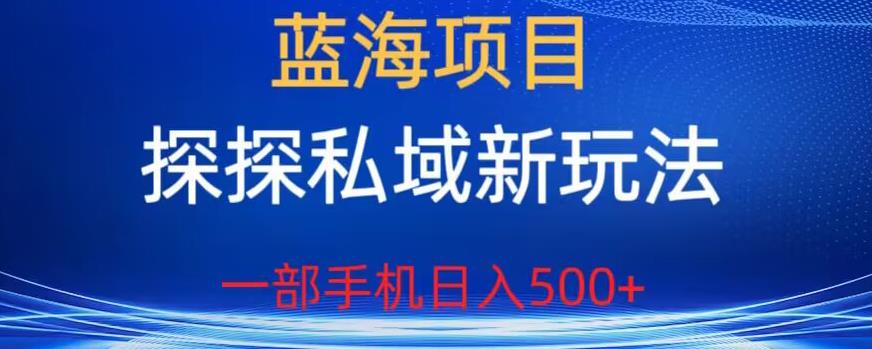蓝海项目，探探私域新玩法，一部手机日入500+很轻松【揭秘】-逐风项目库