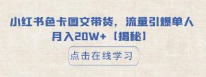 小红书色卡图文带货，流量引爆单人月入20W+【揭秘】-逐风项目库