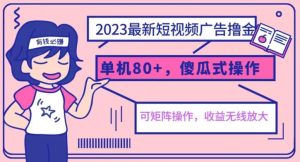 2023最新玩法短视频广告撸金，亲测单机收益80+，可矩阵，傻瓜式操作，小白可上手【揭秘】-逐风项目库