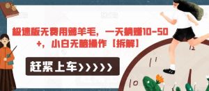 极速版无费用薅羊毛，一天躺赚10-50+，小白无脑操作【拆解】-逐风项目库