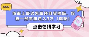 市面上最火男粉项目实操版，仅靠一部手机月入3万【揭秘】-逐风项目库