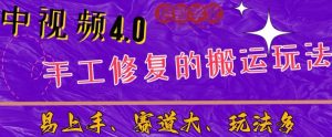 中视频4.0赛道：新手福音，一小时制作，三天过计划，7天看效果【揭秘】-逐风项目库