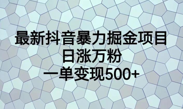 最新抖音暴力掘金项目，日涨万粉，一单变现500+【揭秘】-逐风项目库