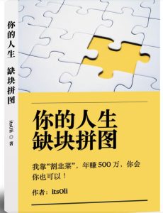 某高赞电子书《你的人生，缺块拼图——我靠“割韭菜”，年赚500万，你会你也可以》-逐风项目库