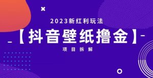 抖音壁纸小程序创作者撸金项目，2023新红利玩法【项目拆解】-逐风项目库