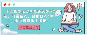 小红书虚拟资料全新思路玩法，流量巨大，轻松日入300+，小白可操作【揭秘】-逐风项目库