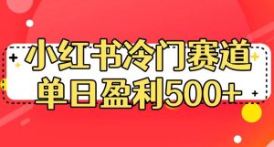 小红书冷门赛道，单日盈利500+【揭秘】-逐风项目库