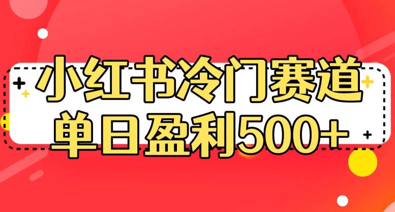 小红书冷门赛道，单日盈利500+【揭秘】-逐风项目库