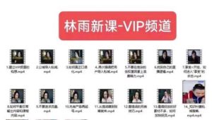 林雨新课VIP频道，玩赚私域/朋友圈/社群-逐风项目库