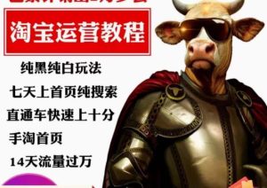 猫老师·淘系算法逆向解密，​纯黑纯白玩法，七天上首页纯搜索，手淘首页14天流量过万-逐风项目库