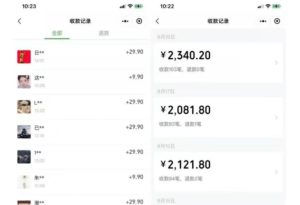 同城相亲项目，最新的蓝海项目，0基础可做，一部手机日入500+【揭秘】-逐风项目库