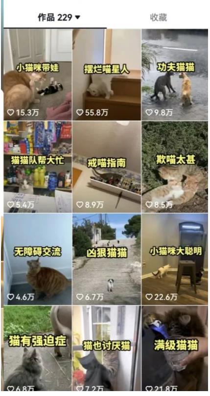 拆解：抖音盘点类中视频变现副业项目，视频版一条龙大解析分享给你-逐风项目库