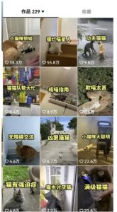 拆解抖音盘点类中视频变现副业项目，视频版一条龙大解析分享给你【视频课程】-逐风项目库