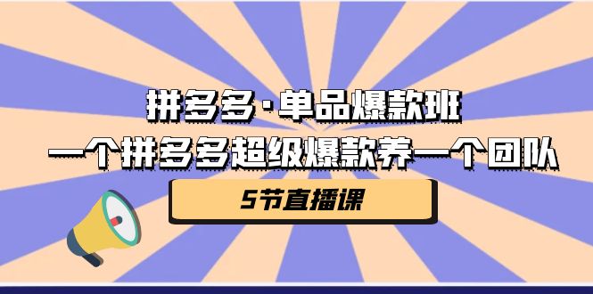 拼多多·单品爆款班，一个拼多多超级爆款养一个团队（5节直播课）-逐风项目库