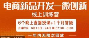 南掌柜·电商新品开发——微创新，电商新品微创新是你企业发展的护城河-逐风项目库