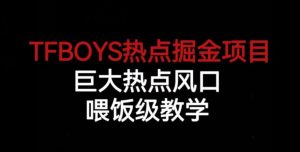 TFBOYS热点掘金项目，巨大热点风口，喂饭级教学-逐风项目库
