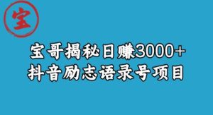 宝哥揭秘日赚3000+抖音励志语录号短视频变现项目-逐风项目库